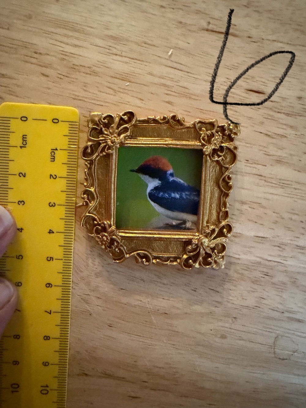 Gold Ornate Bird Picture Frame Magnet - Decorative Pet Bird Accent
